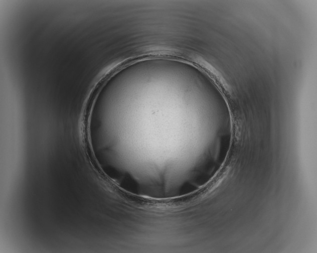 X0000101961074200807251150