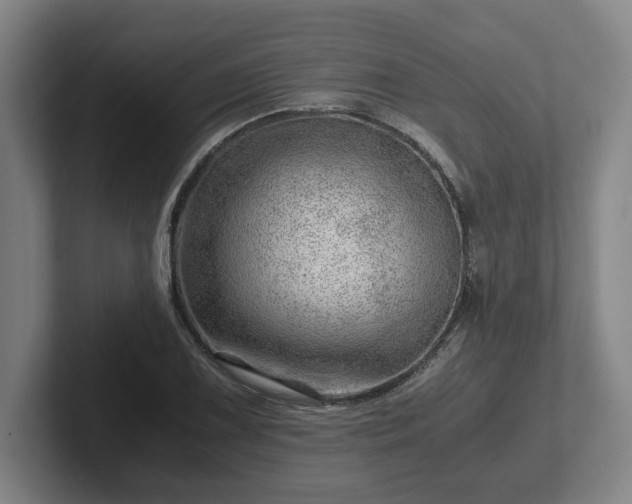 X0000101961075200807251150