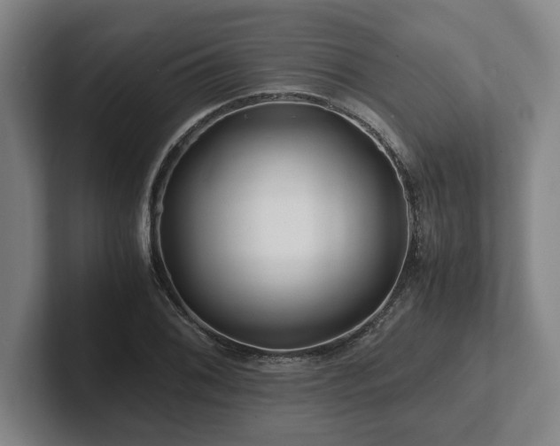 X0000101961076200807251150