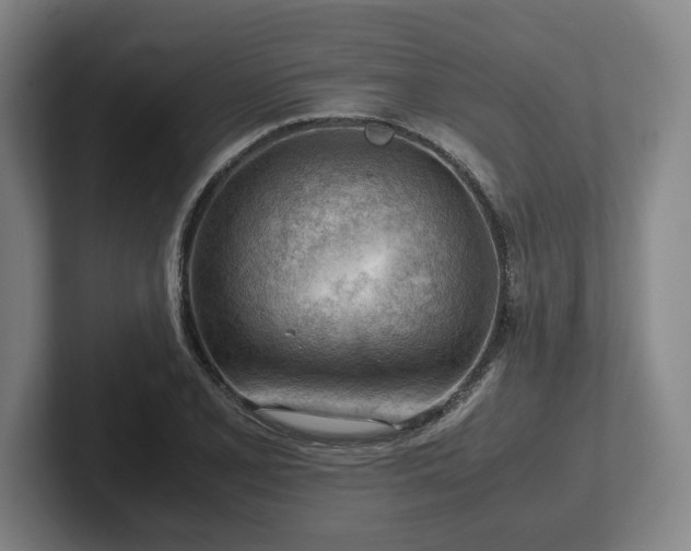 X0000101961077200807251150