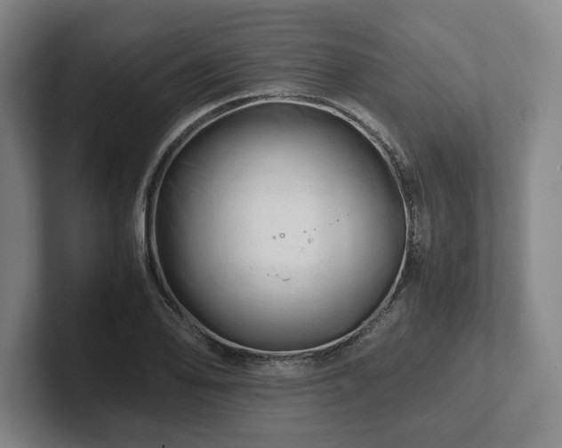 X0000101961078200807251150