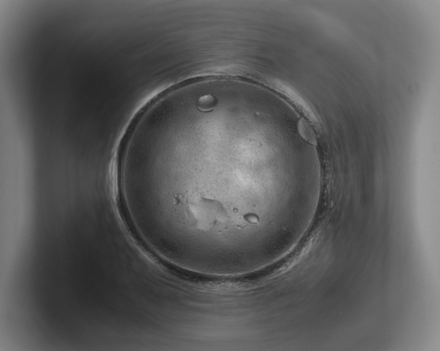 X0000101961079200807251150