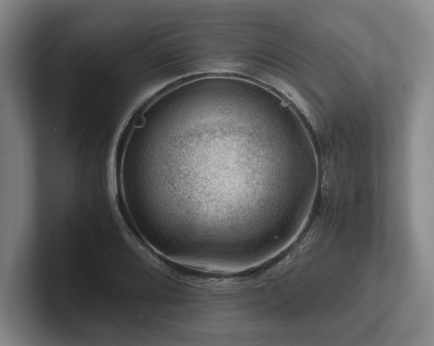 X0000101961080200807251150