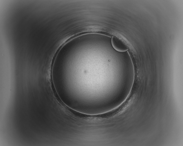 X0000101961081200807251150