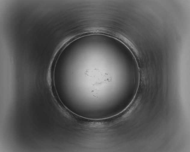 X0000101961082200807251150