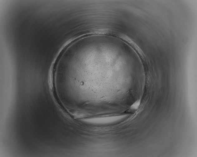 X0000101961083200807251150