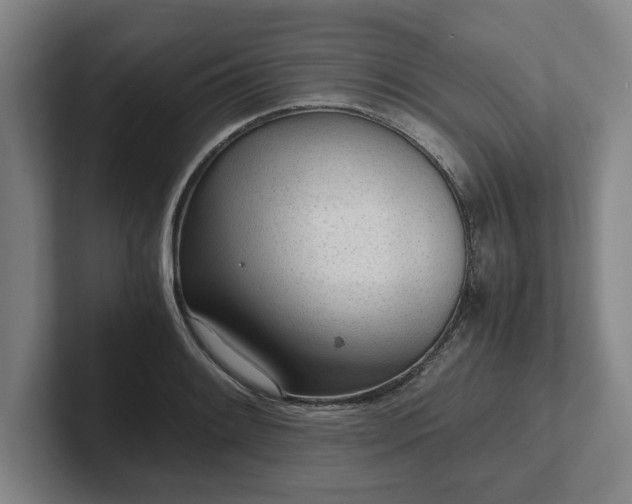 X0000101961084200807251150