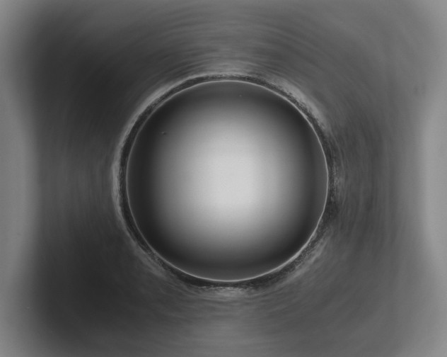 X0000101961085200807251150