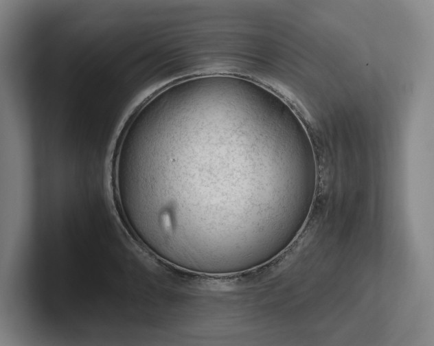 X0000101961086200807251150