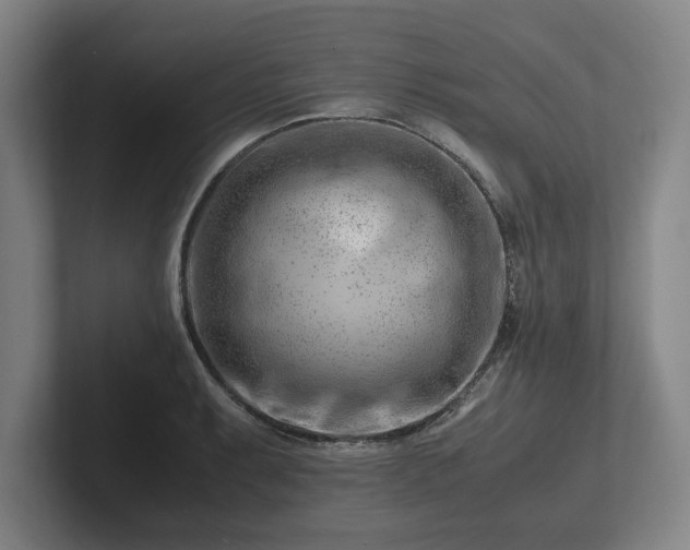 X0000101961087200807251150