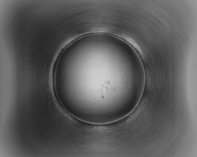 X0000101961088200807251150