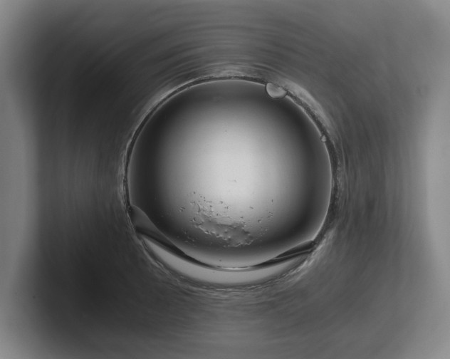 X0000101961089200807251150