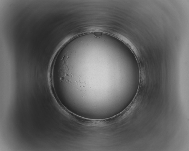 X0000101961090200807251149