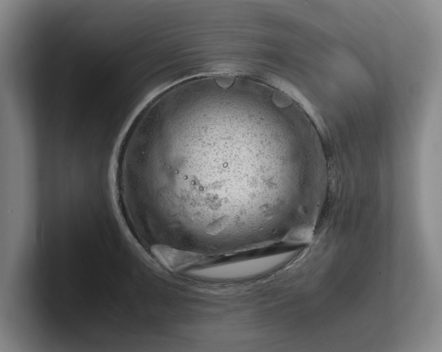 X0000101961091200807251149