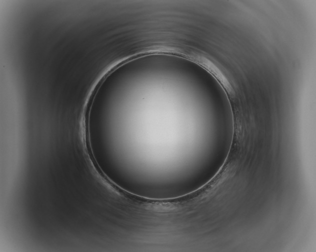 X0000101961092200807251149