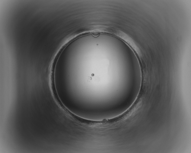 X0000101961093200807251149