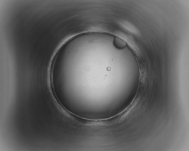 X0000101961094200807251149