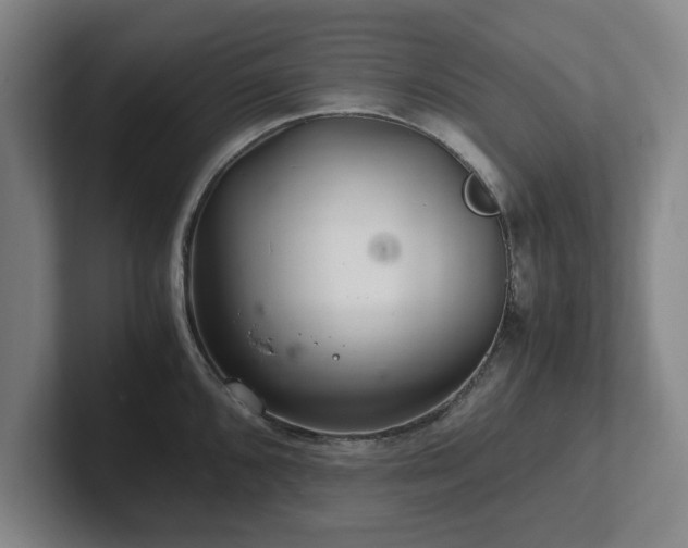 X0000101961096200807251149