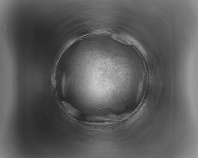 X0000101961097200807251149