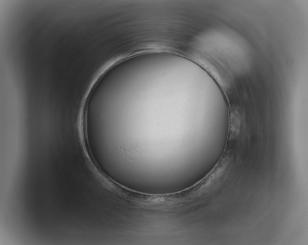 X0000101961098200807251149