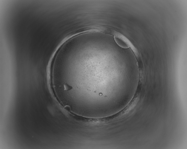 X0000101961099200807251149