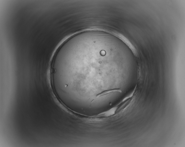 X0000101961100200807251149