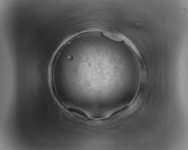 X0000101961101200807251149