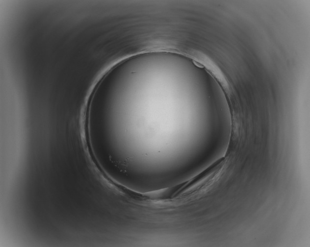 X0000101961102200807251149