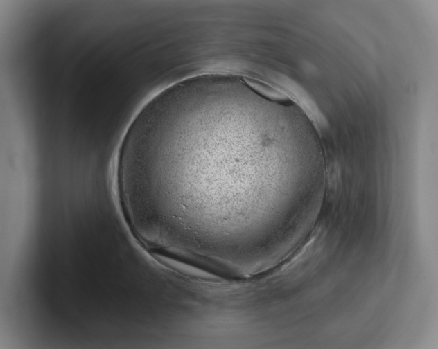 X0000101961103200807251149