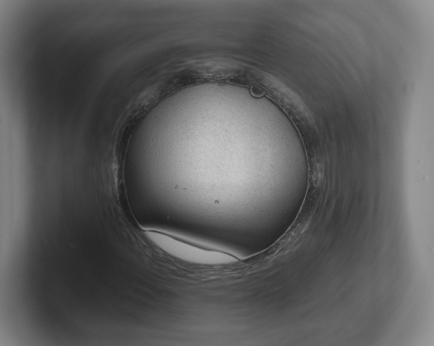 X0000101961108200807251149