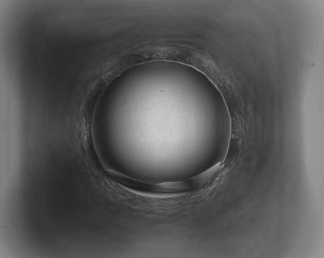 X0000101961109200807251149