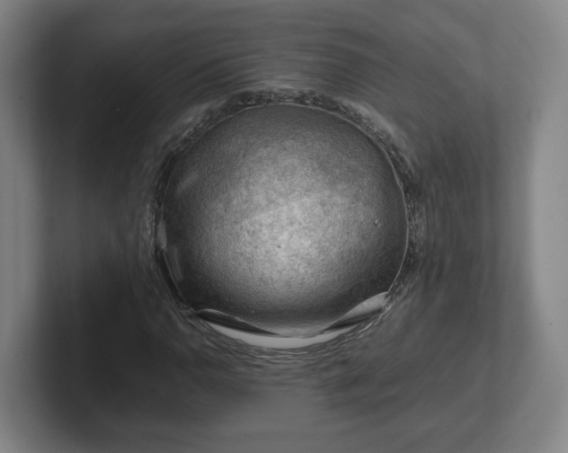 X0000101961110200807251149