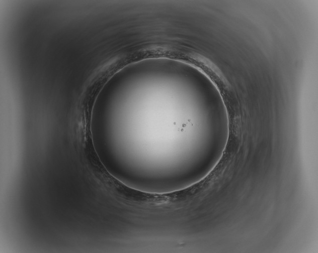 X0000101961111200807251149