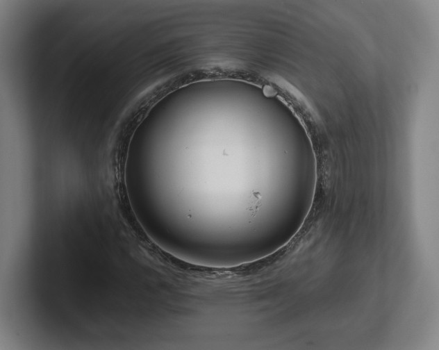 X0000101961112200807251149