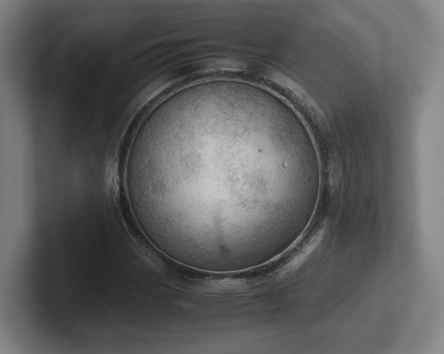 X0000101961113200807251149