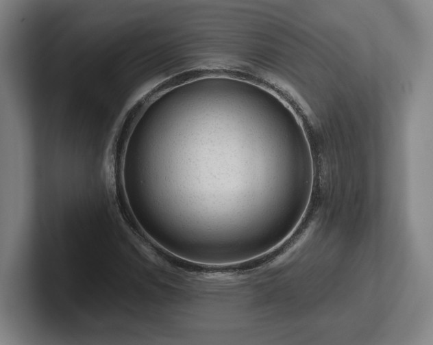 X0000101961114200807251149