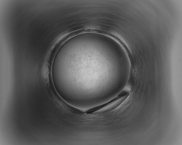 X0000101961115200807251149