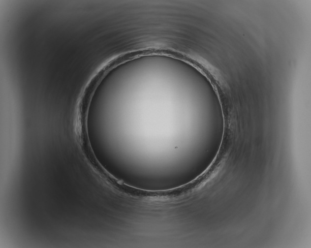 X0000101961118200807251149