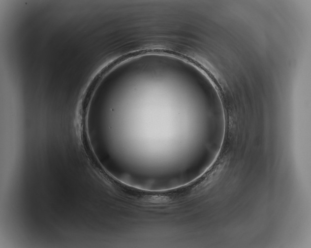 X0000101961119200807251149