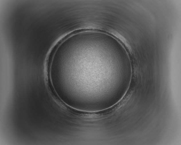 X0000101961120200807251149