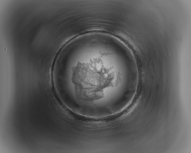 X0000101961121200807251149