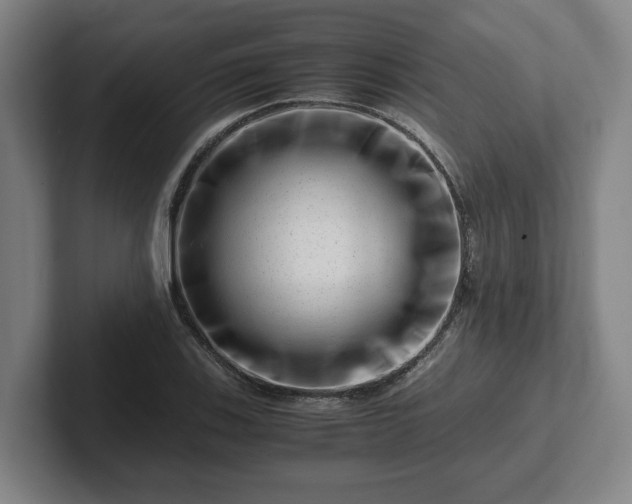 X0000101961123200807251149