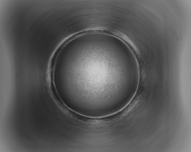 X0000101961124200807251149