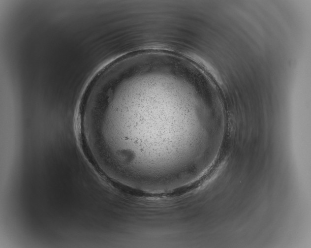 X0000101961125200807251149