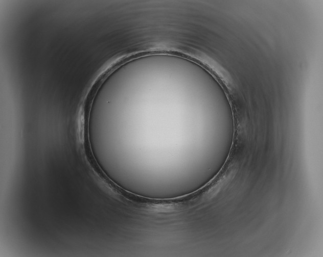 X0000101961126200807251149