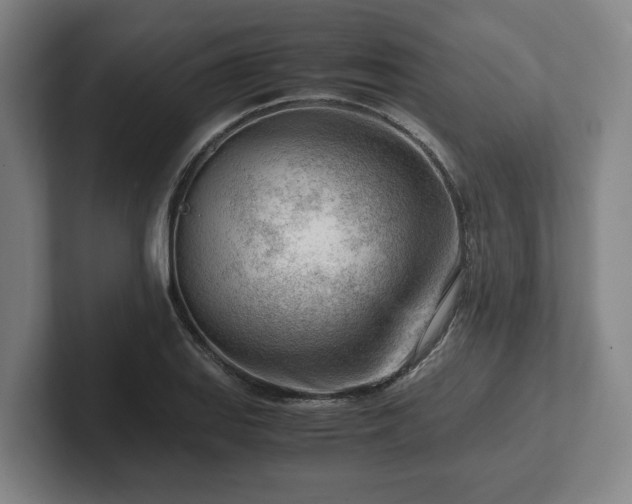 X0000101961127200807251149