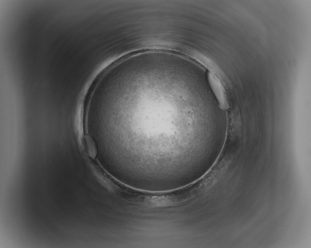 X0000101961128200807251149