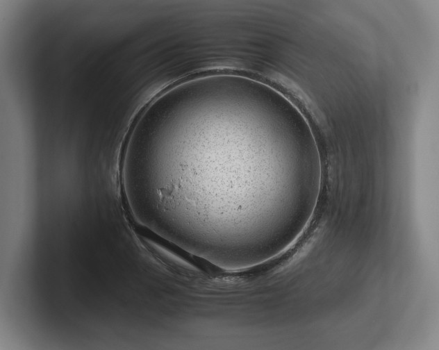 X0000101961129200807251149