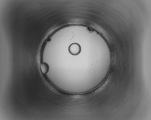 X0000101961130200807251149