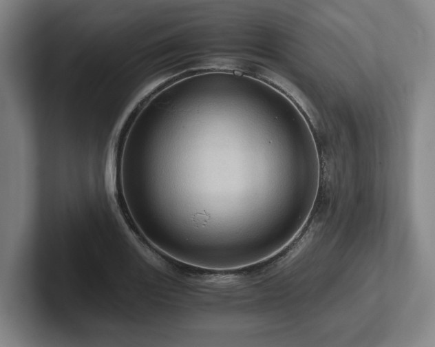 X0000101961131200807251149